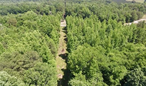 Photo #21 of SOLD property in Old Mill Rd, Halifax, VA 20.0 acres
