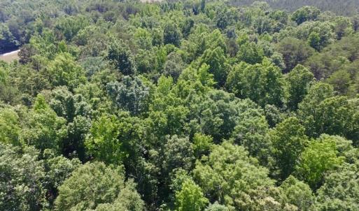 Photo #22 of SOLD property in Old Mill Rd, Halifax, VA 20.0 acres