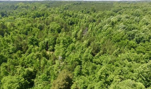 Photo #24 of SOLD property in Old Mill Rd, Halifax, VA 20.0 acres