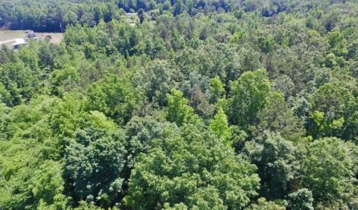 Photo #25 of SOLD property in Old Mill Rd, Halifax, VA 20.0 acres