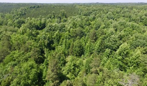 Photo #26 of SOLD property in Old Mill Rd, Halifax, VA 20.0 acres