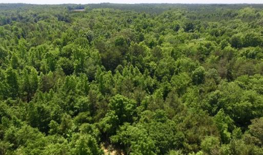 Photo #27 of SOLD property in Old Mill Rd, Halifax, VA 20.0 acres