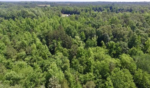 Photo #28 of SOLD property in Old Mill Rd, Halifax, VA 20.0 acres
