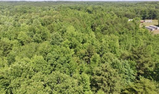 Photo #29 of SOLD property in Old Mill Rd, Halifax, VA 20.0 acres