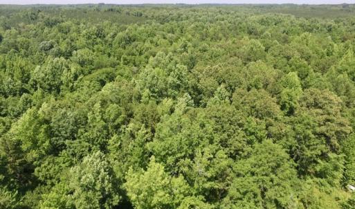Photo #30 of SOLD property in Old Mill Rd, Halifax, VA 20.0 acres