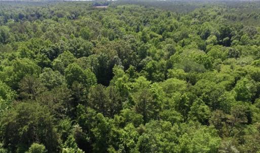 Photo #31 of SOLD property in Old Mill Rd, Halifax, VA 20.0 acres