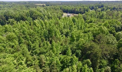 Photo #32 of SOLD property in Old Mill Rd, Halifax, VA 20.0 acres