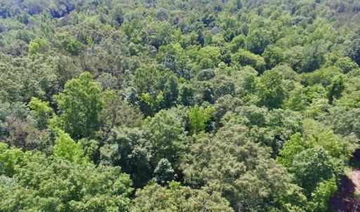 Photo #33 of SOLD property in Old Mill Rd, Halifax, VA 20.0 acres
