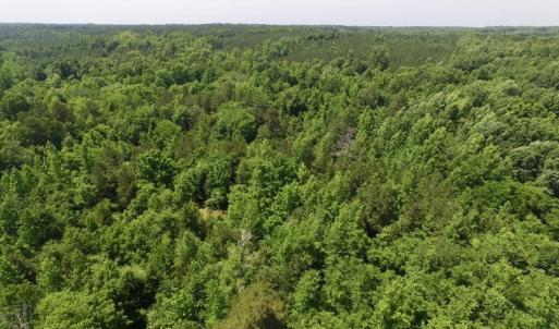 Photo #34 of SOLD property in Old Mill Rd, Halifax, VA 20.0 acres