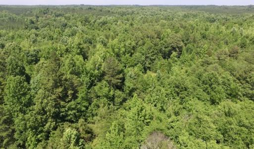 Photo #35 of SOLD property in Old Mill Rd, Halifax, VA 20.0 acres
