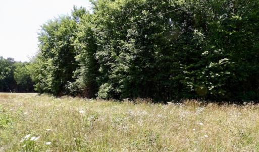 Photo #39 of SOLD property in Old Mill Rd, Halifax, VA 20.0 acres