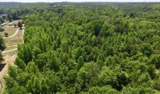 Photo #4 of SOLD property in Old Mill Rd, Halifax, VA 20.0 acres