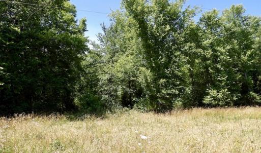 Photo #41 of SOLD property in Old Mill Rd, Halifax, VA 20.0 acres