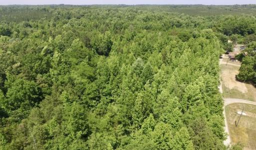 Photo #5 of SOLD property in Old Mill Rd, Halifax, VA 20.0 acres