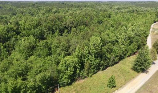 Photo #7 of SOLD property in Old Mill Rd, Halifax, VA 20.0 acres