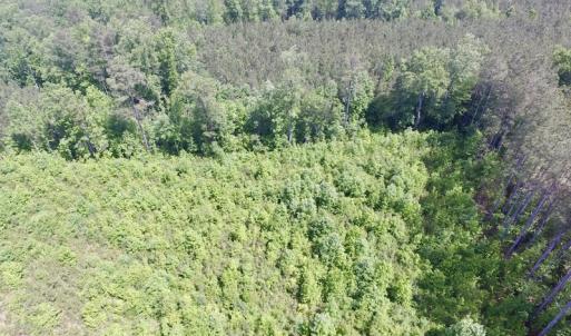 Photo #10 of SOLD property in New Grove Rd, Kenbridge, VA 56.0 acres