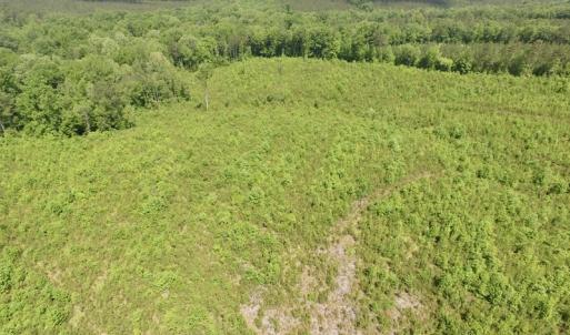 Photo #12 of SOLD property in New Grove Rd, Kenbridge, VA 56.0 acres