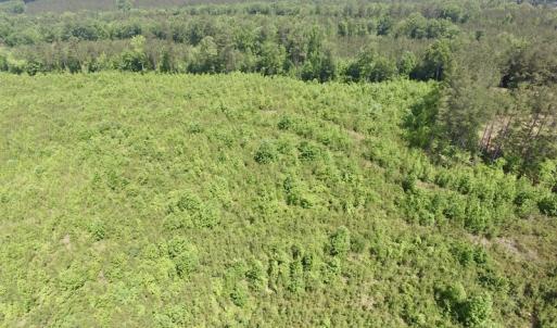 Photo #13 of SOLD property in New Grove Rd, Kenbridge, VA 56.0 acres
