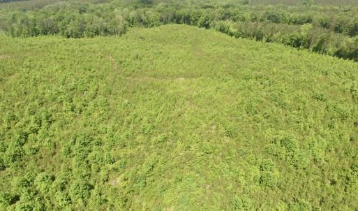 Photo #17 of SOLD property in New Grove Rd, Kenbridge, VA 56.0 acres