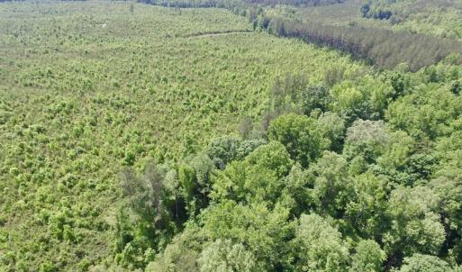 Photo #18 of SOLD property in New Grove Rd, Kenbridge, VA 56.0 acres