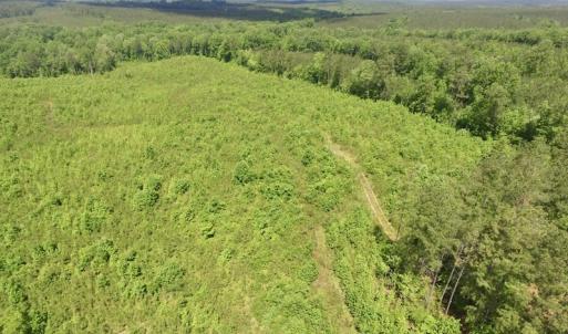 Photo #19 of SOLD property in New Grove Rd, Kenbridge, VA 56.0 acres