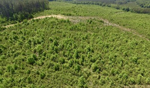 Photo #21 of SOLD property in New Grove Rd, Kenbridge, VA 56.0 acres