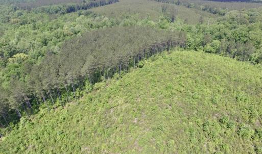Photo #22 of SOLD property in New Grove Rd, Kenbridge, VA 56.0 acres