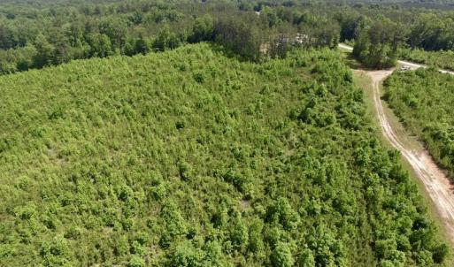 Photo #23 of SOLD property in New Grove Rd, Kenbridge, VA 56.0 acres