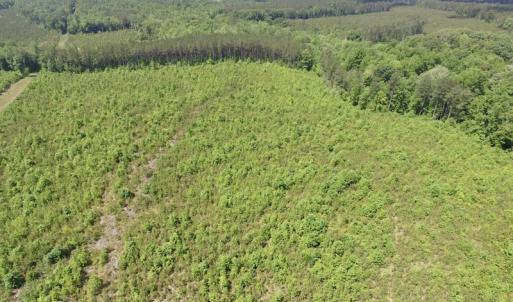 Photo #24 of SOLD property in New Grove Rd, Kenbridge, VA 56.0 acres