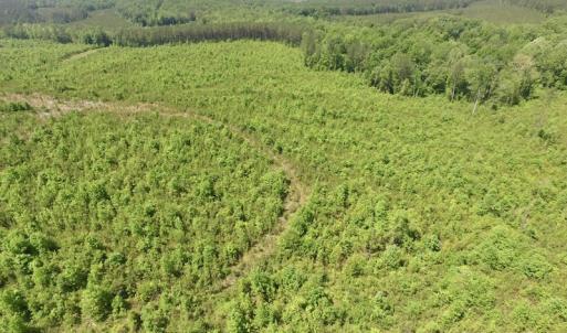 Photo #25 of SOLD property in New Grove Rd, Kenbridge, VA 56.0 acres