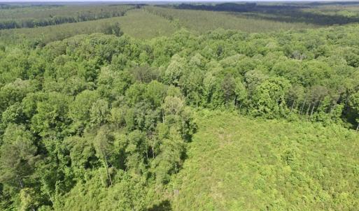 Photo #26 of SOLD property in New Grove Rd, Kenbridge, VA 56.0 acres