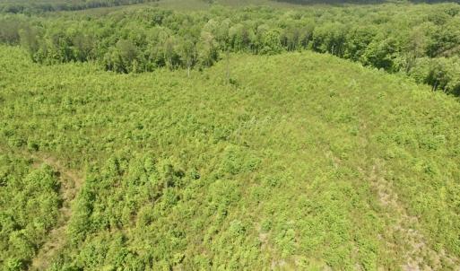 Photo #27 of SOLD property in New Grove Rd, Kenbridge, VA 56.0 acres