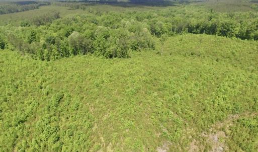 Photo #28 of SOLD property in New Grove Rd, Kenbridge, VA 56.0 acres