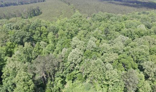 Photo #29 of SOLD property in New Grove Rd, Kenbridge, VA 56.0 acres