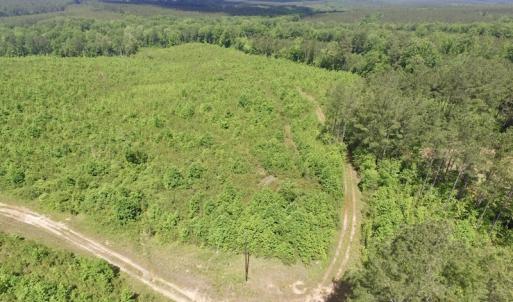 Photo #30 of SOLD property in New Grove Rd, Kenbridge, VA 56.0 acres