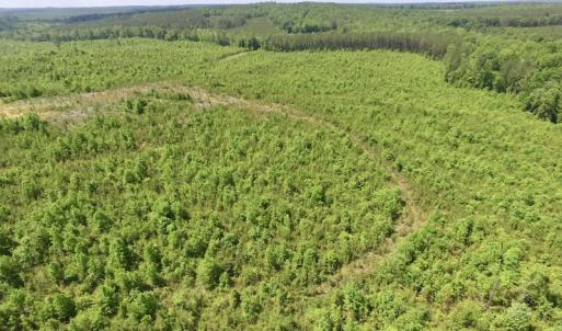 Photo #31 of SOLD property in New Grove Rd, Kenbridge, VA 56.0 acres