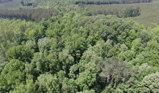 Photo #32 of SOLD property in New Grove Rd, Kenbridge, VA 56.0 acres