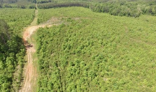 Photo #33 of SOLD property in New Grove Rd, Kenbridge, VA 56.0 acres