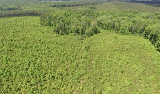 Photo #34 of SOLD property in New Grove Rd, Kenbridge, VA 56.0 acres