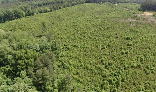 Photo #35 of SOLD property in New Grove Rd, Kenbridge, VA 56.0 acres