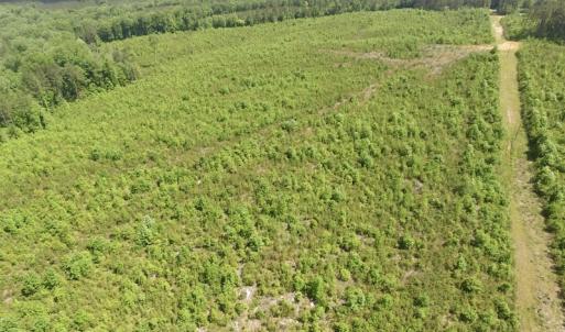 Photo #36 of SOLD property in New Grove Rd, Kenbridge, VA 56.0 acres