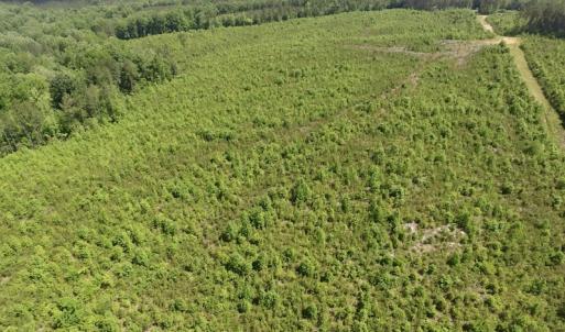 Photo #37 of SOLD property in New Grove Rd, Kenbridge, VA 56.0 acres