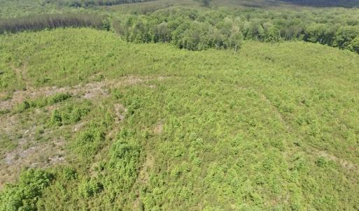 Photo #38 of SOLD property in New Grove Rd, Kenbridge, VA 56.0 acres