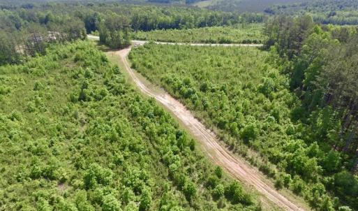 Photo #39 of SOLD property in New Grove Rd, Kenbridge, VA 56.0 acres