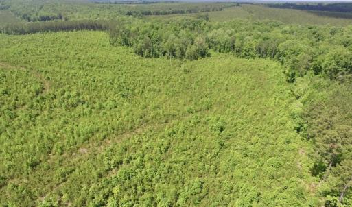 Photo #40 of SOLD property in New Grove Rd, Kenbridge, VA 56.0 acres