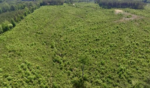 Photo #43 of SOLD property in New Grove Rd, Kenbridge, VA 56.0 acres