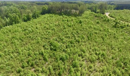 Photo #44 of SOLD property in New Grove Rd, Kenbridge, VA 56.0 acres