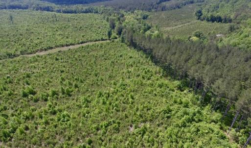 Photo #45 of SOLD property in New Grove Rd, Kenbridge, VA 56.0 acres