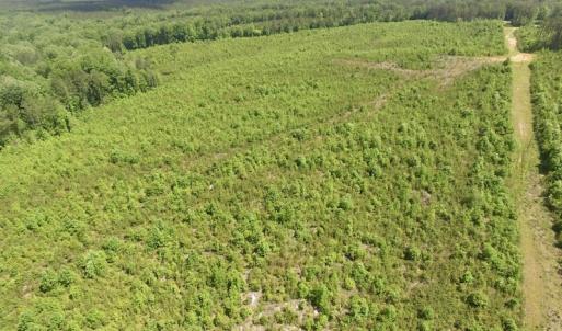 Photo #46 of SOLD property in New Grove Rd, Kenbridge, VA 56.0 acres