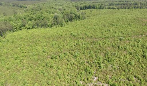 Photo #5 of SOLD property in New Grove Rd, Kenbridge, VA 56.0 acres